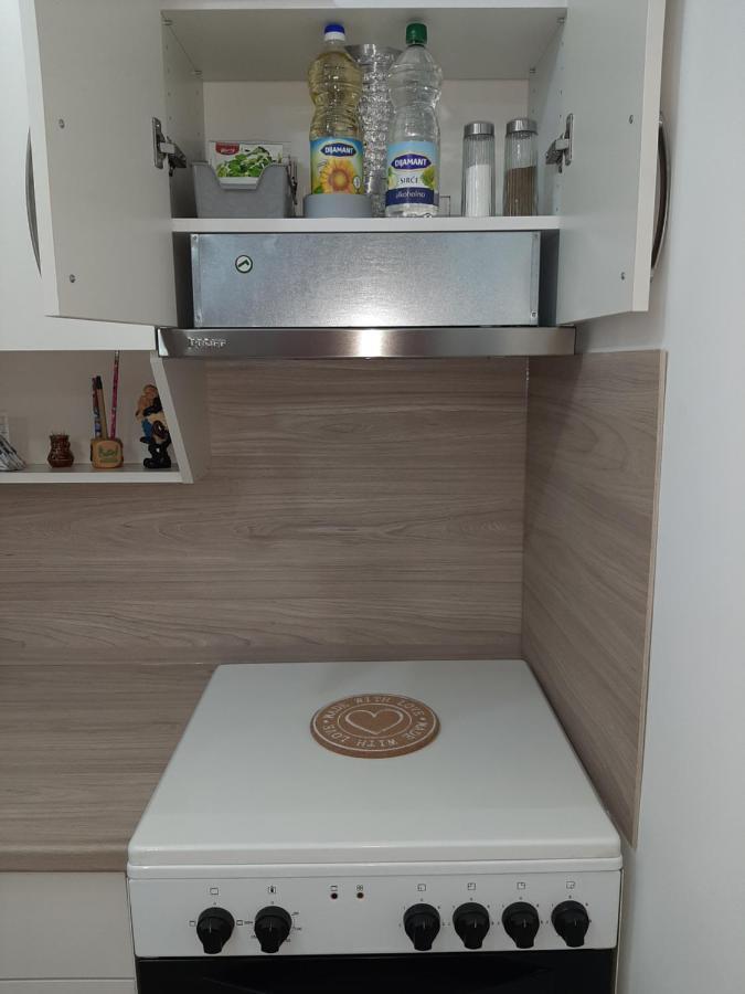Apartman Viaggio Sremska Mitrovica Exteriör bild